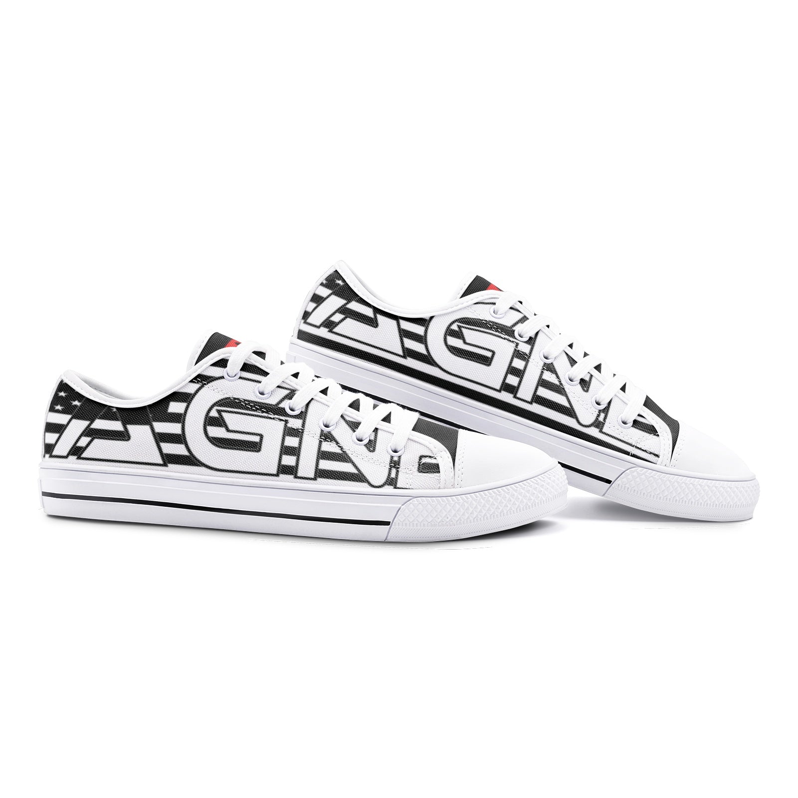 Magnet expedition Unisex Low Top Canvas Shoes