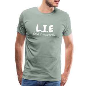 Magnet love  Men's Premium T-Shirt - steel green